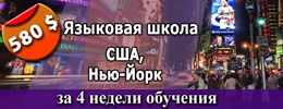 nyu_york.jpg